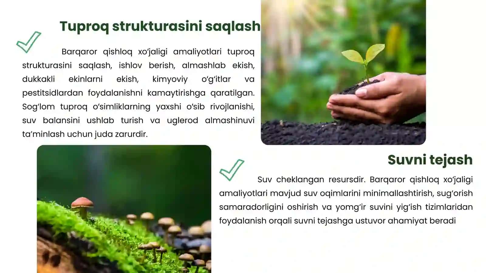 QISHLOQ XOʻJALIGIVA BIOSFERA MUAMMOLARI. OZIQ-OVQAT XAVFSIZLIGIGA ERISHISH VA BARQAROR QISHLOQ XOʻJALIGINI RIVOJLANTIRISH ASOSLARI 4