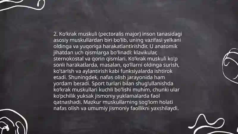 Ko'krak mushaklari anatomiyasi 4