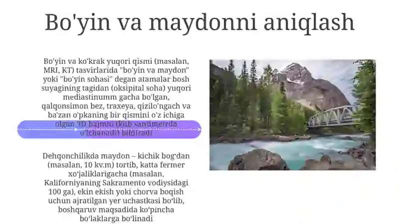Bo'yin va maydon tushunchasi 4