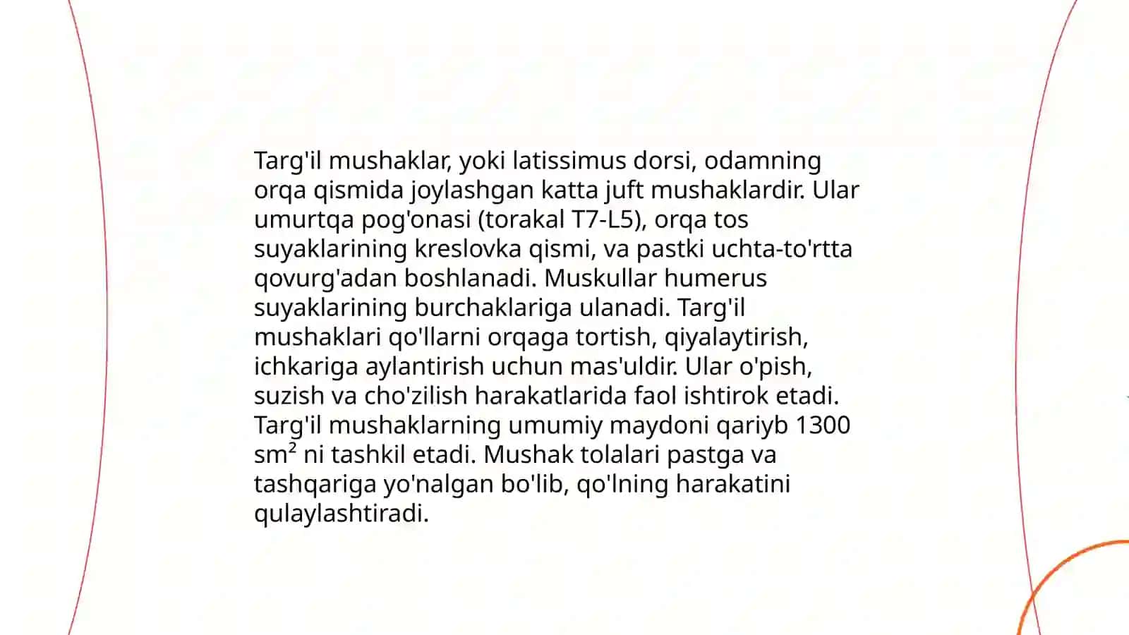 Silkincha mushaklarining anatomiyasi 4