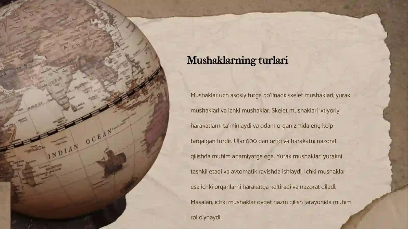 Mushaklar ta'rifi va turlari 4