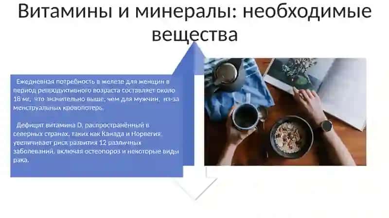 Создание правильного рациона здорового питания 4