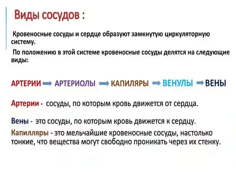 КРОВОТЕЧЕНИЕ,ВИДЫ КРОВОТЕЧЕНИЯ, ОКАЗАНИЕ ПЕРВОЙ ПОМОЩИ ПРИ КРОВОТЕЧЕНИИ 4