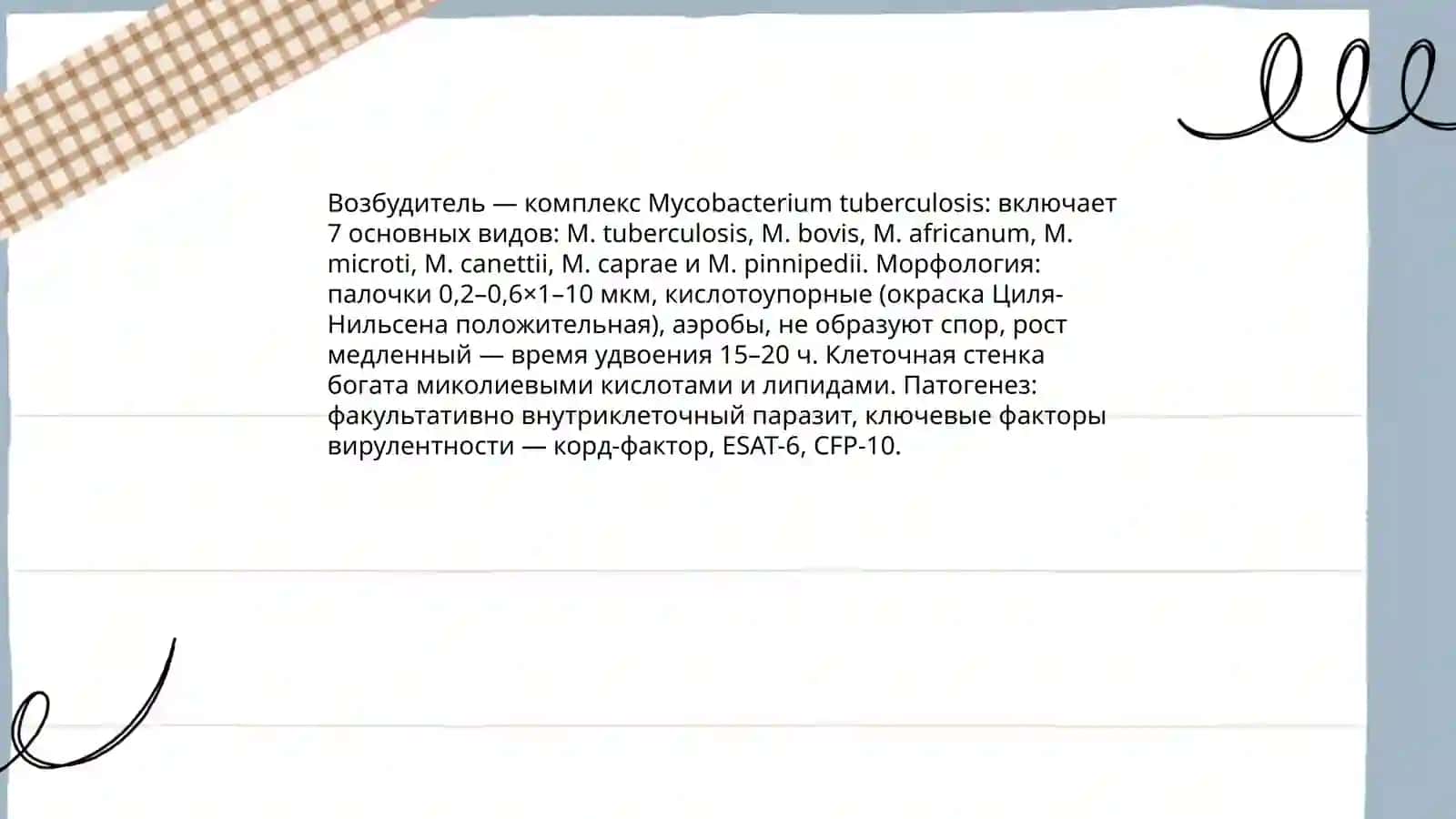 Туберкулёз 4