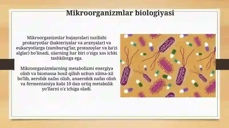 Antibiotiklarni hosil qiluvchi mikroorganizmlar va ularning biologiyasi 4