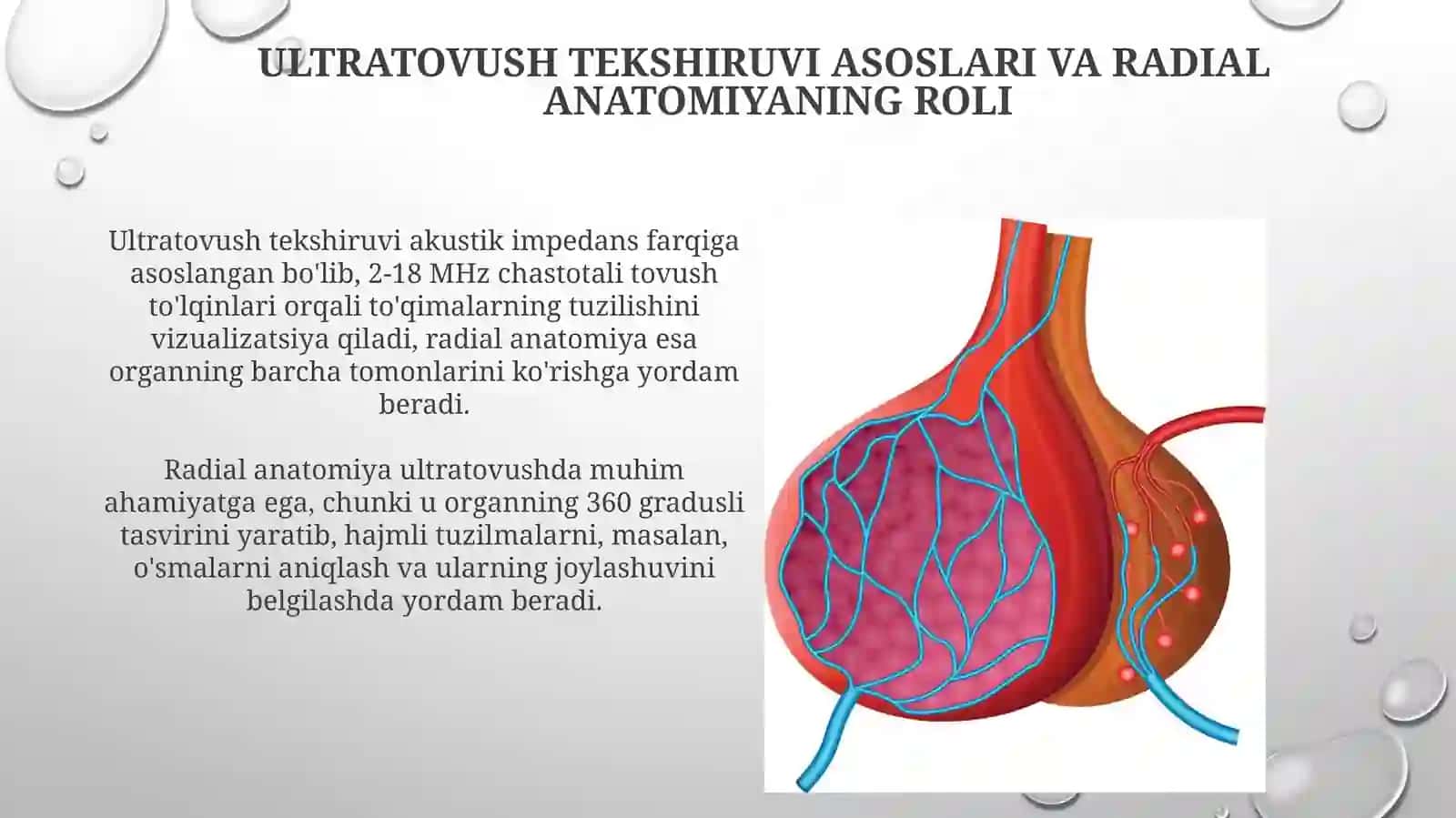 Qalqonsimon bez, me'daosti bezi va gipofiz radial anatomiyasi vaultratovush tekshiruvi 4