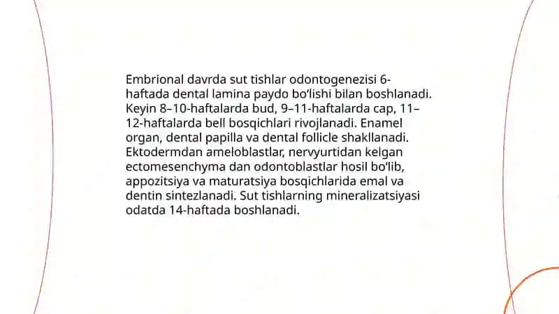 SUT (VAQTINCHALIK) TISHLASHNING ANATOMIYASI VA FIZIOLOGIYASI 4