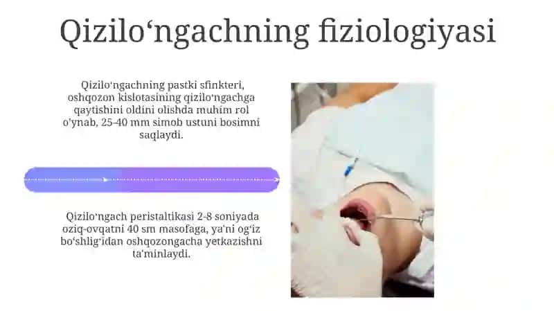 Og'iz bo'shlig'i, halqum, qizil o'ngach anatamo fiziologik xususiyatlari 4