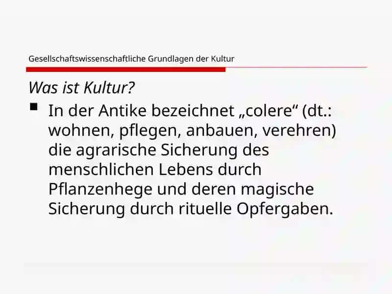 Gesellschaftswissenschaftliche Grundlagen der Kultur 4