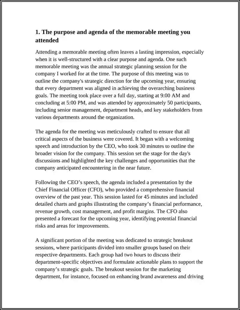 Memorable Meeting Description 4