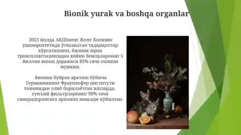 Bionika asoslari va uni inson xayotidagi o'rni 4