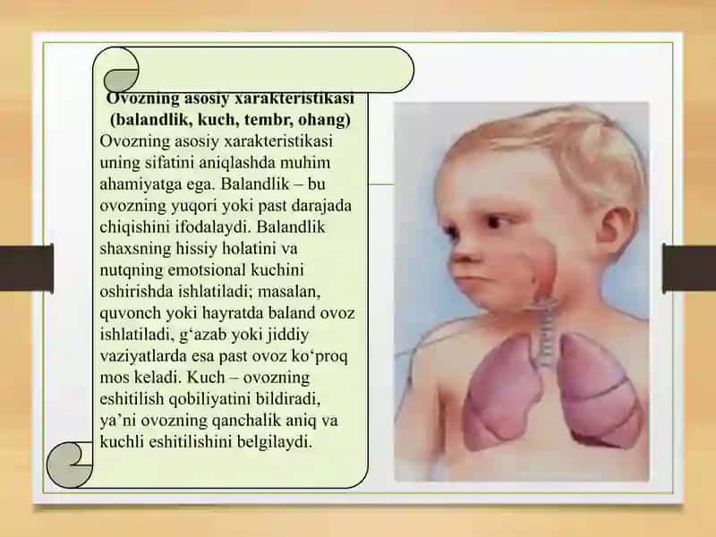 OVOZ UNING ASOSIY XARAKTERISTIKASI.OVOZNING NUTQDAGI ROLI 4