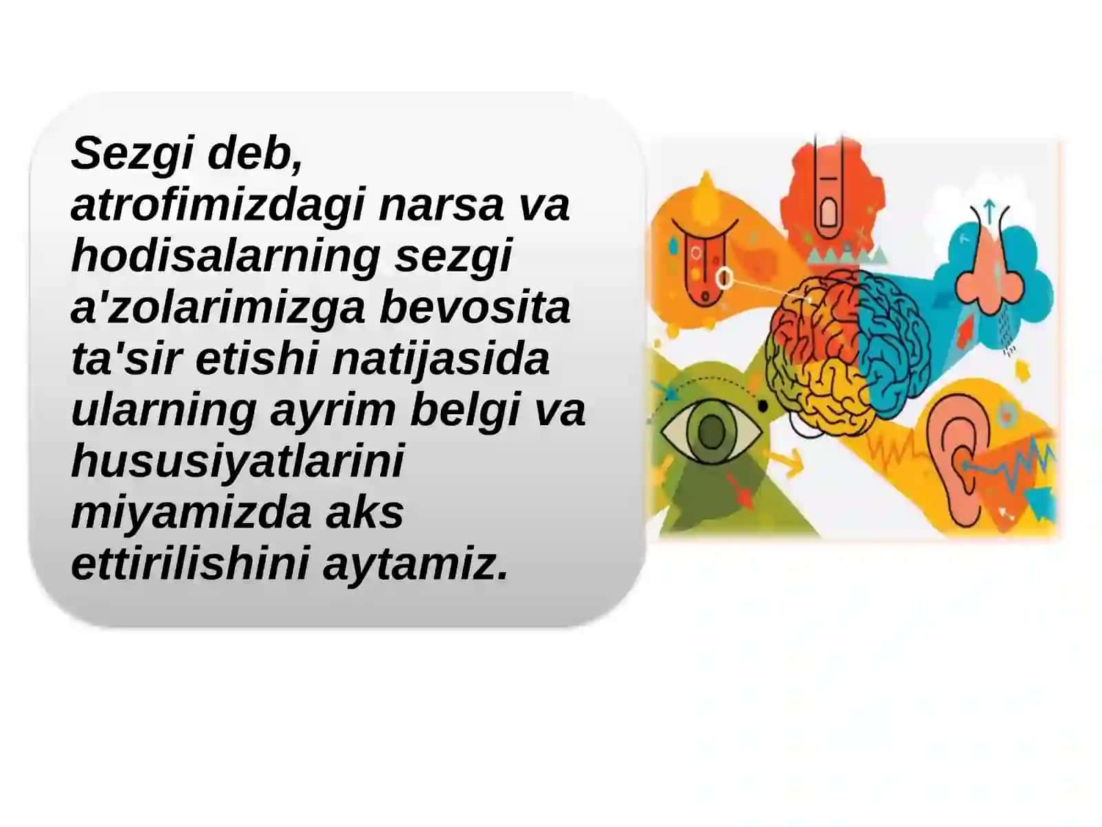 Sezgi haqida umumiy tasavvurlar, yondoshuvlar. Sezgilar klassifikatsiyasi va sezgilarning o‘zgaruvchan shakllari 4