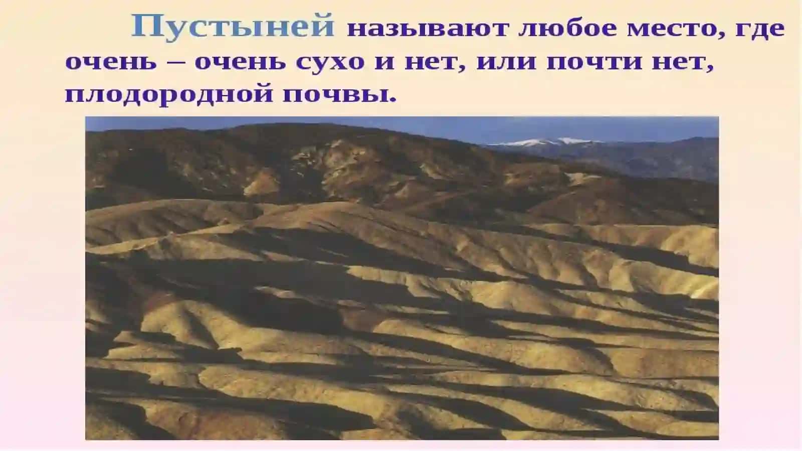 Umumiy ta'lim maktablarida boshlang'ich sinf o'qituvchisi 4