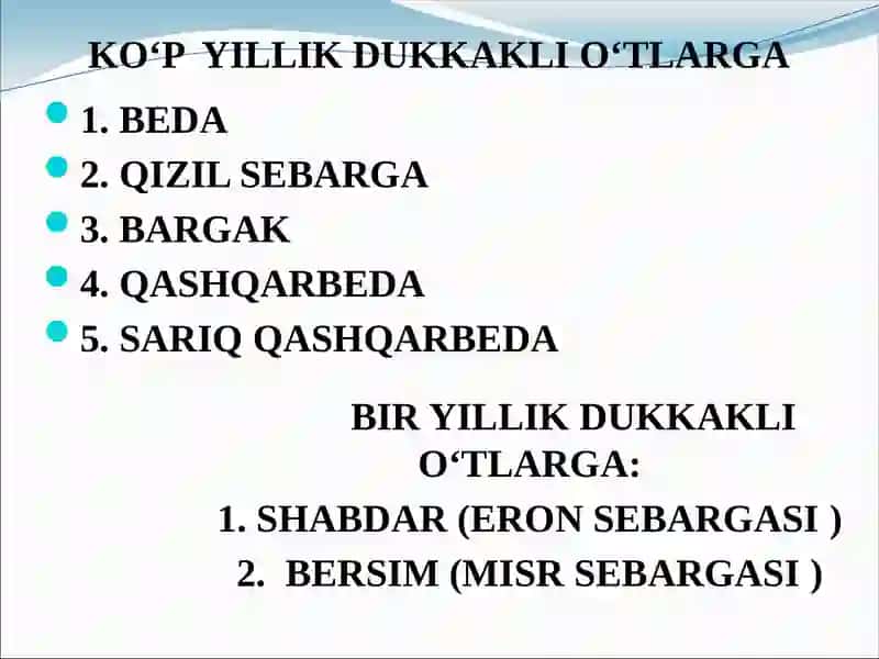 YEM-XASHAK O‘TLAR. YEM-XASHAK O‘TLAR AHAMIYATI. BEDA BIOLOGIYASI VA YETISHTIRISH TEXNOLOGIYASI 4