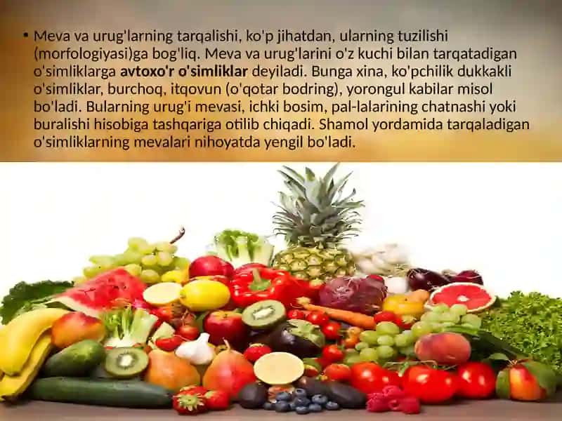 MEVALARNI MEXANIK VA BIOLOGIK TARQALISH USULLARIGA QARAB GURUHLASH VA KO‘RGAZMA QILISH 4