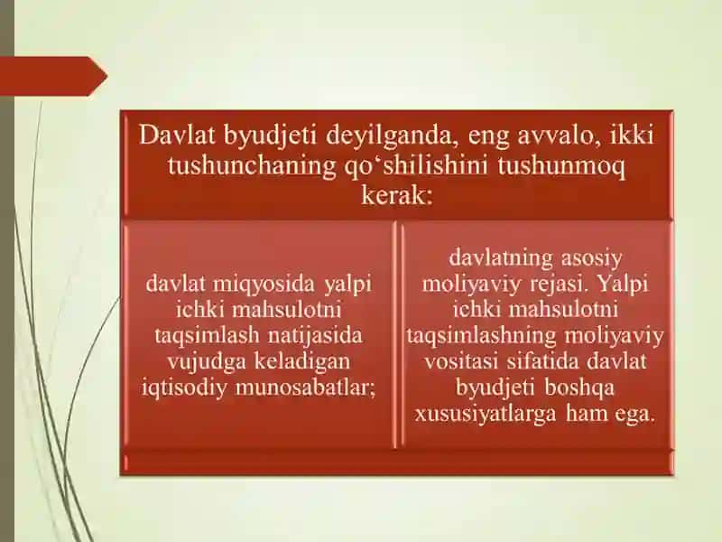 Davlat budjeti. Budjet soliq siyosati 4