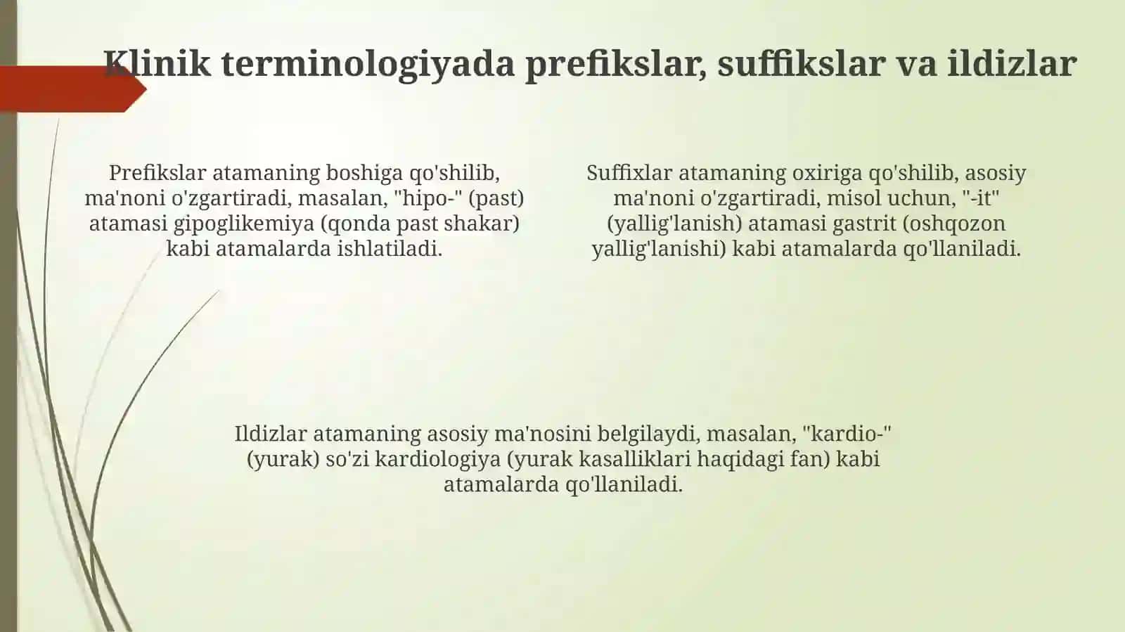 Klinik terminologiyaning asosiy elementlari 4