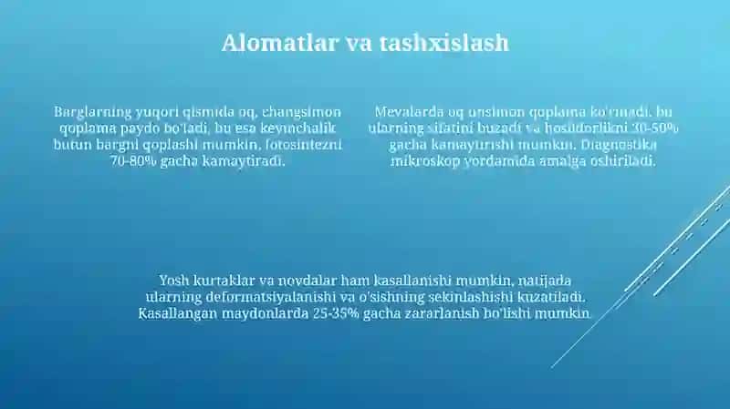Tutdaraxti un-shudring kasalligi 4