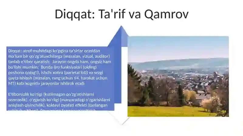 Когнитивные процесы. Внимание и его основные феномены 4