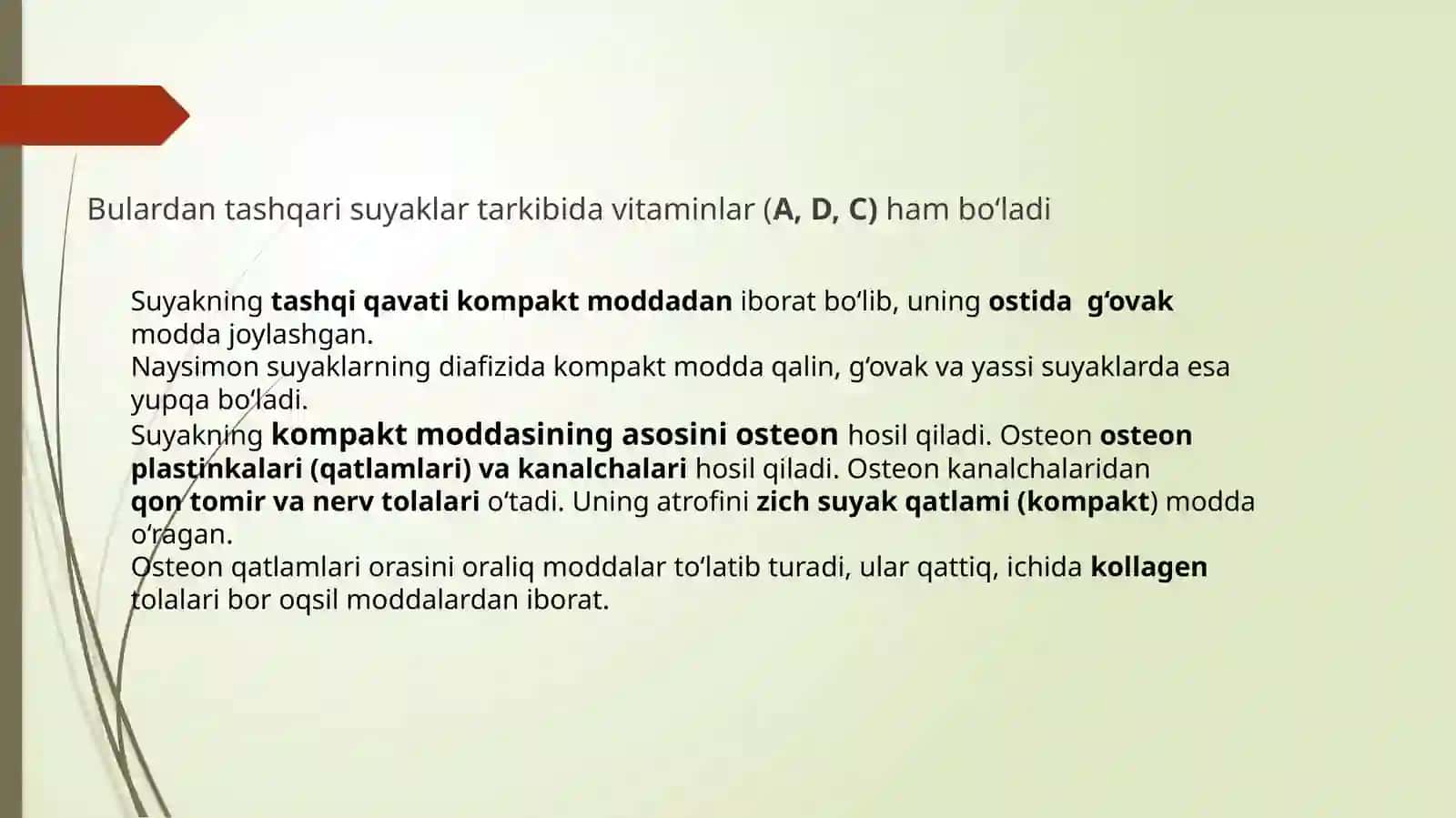 Osteologiya-suyaklarning tuzilishi haqida ilm 4