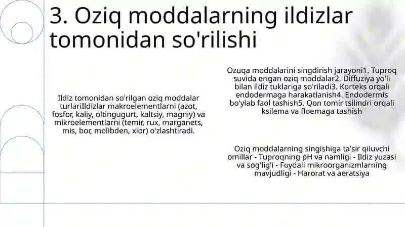 O‘Simliklarning Ildizdan Oziqlanishini Tahlil Qilish 4