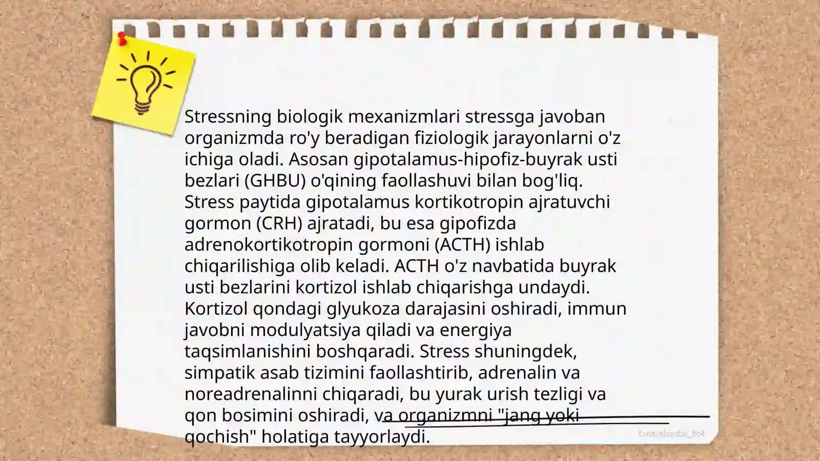 Stressning fiziologiyasi 4