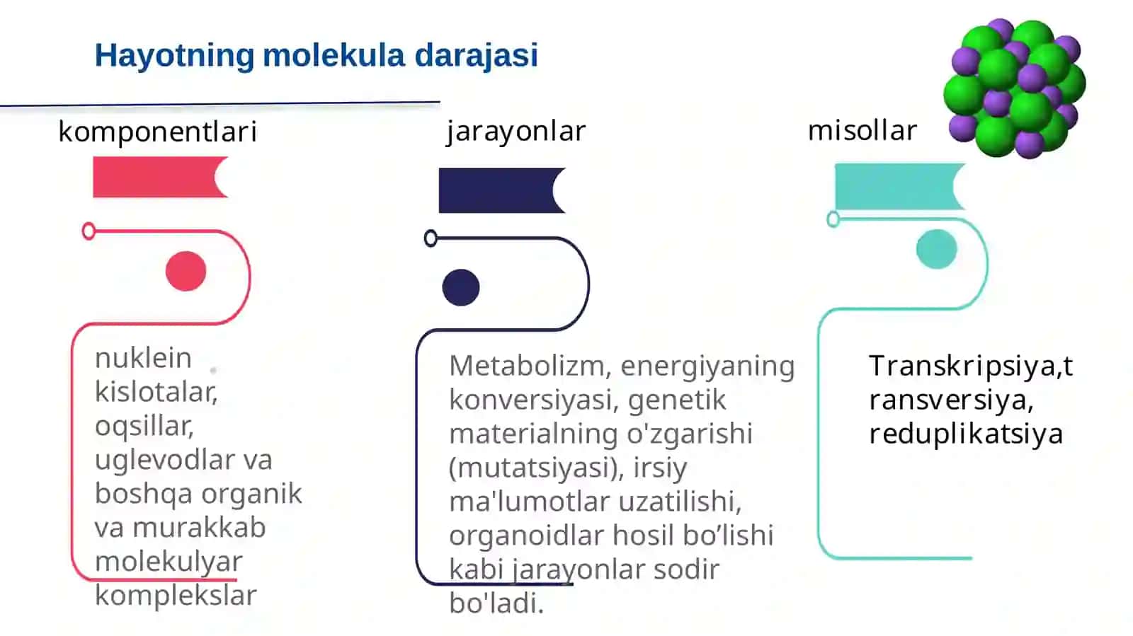 Biologiya: HAYOTNING TUZILISH DARAJALARINI MODELLASHTIRISH 4