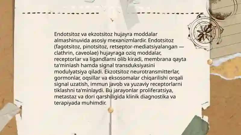 Hujayrada moddalar, energiya va malumotlar oqimi. Hujayra proliferatsiya muammolarning tibbiyotda roli 4
