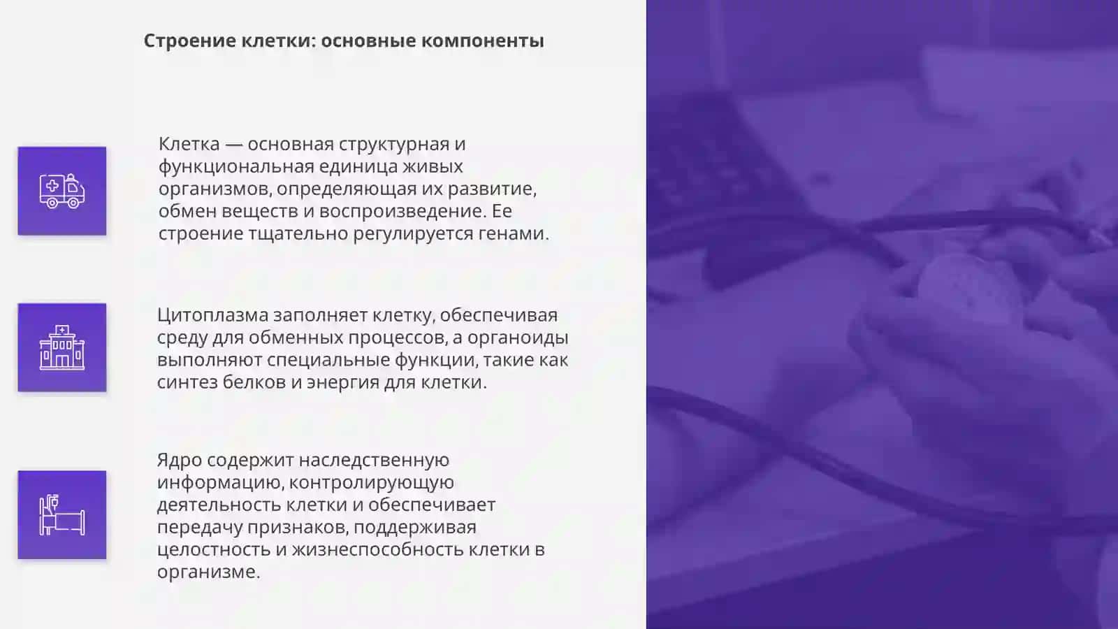 Клеточ уровень жизни 4