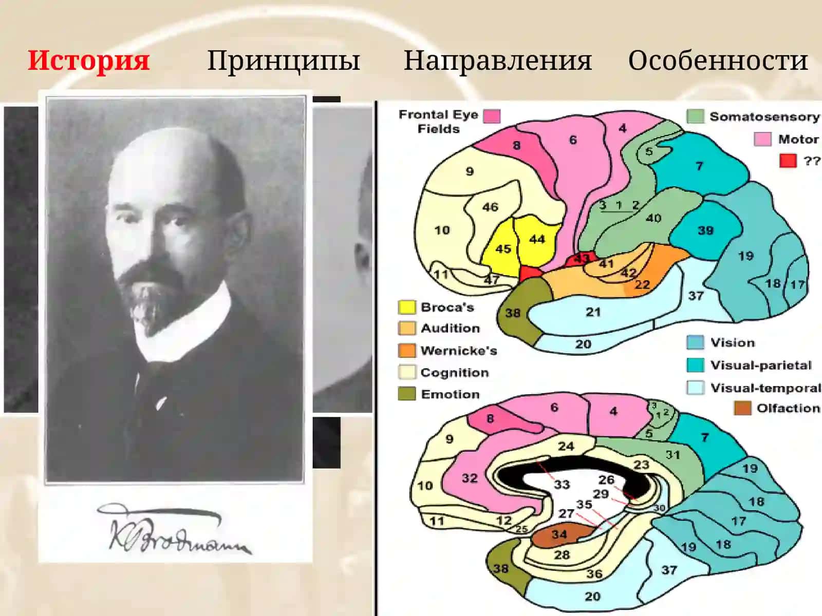 « Я сегодня оперировал Душу…» 4