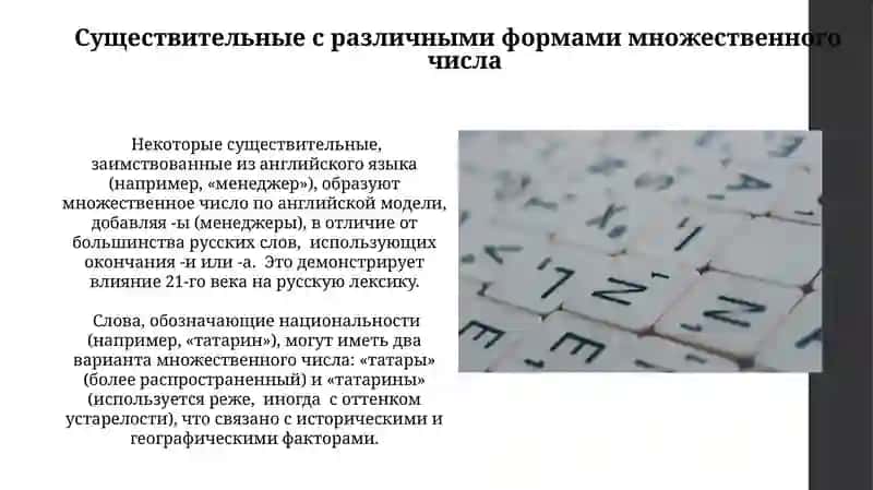 Множественное число имен существительных 4