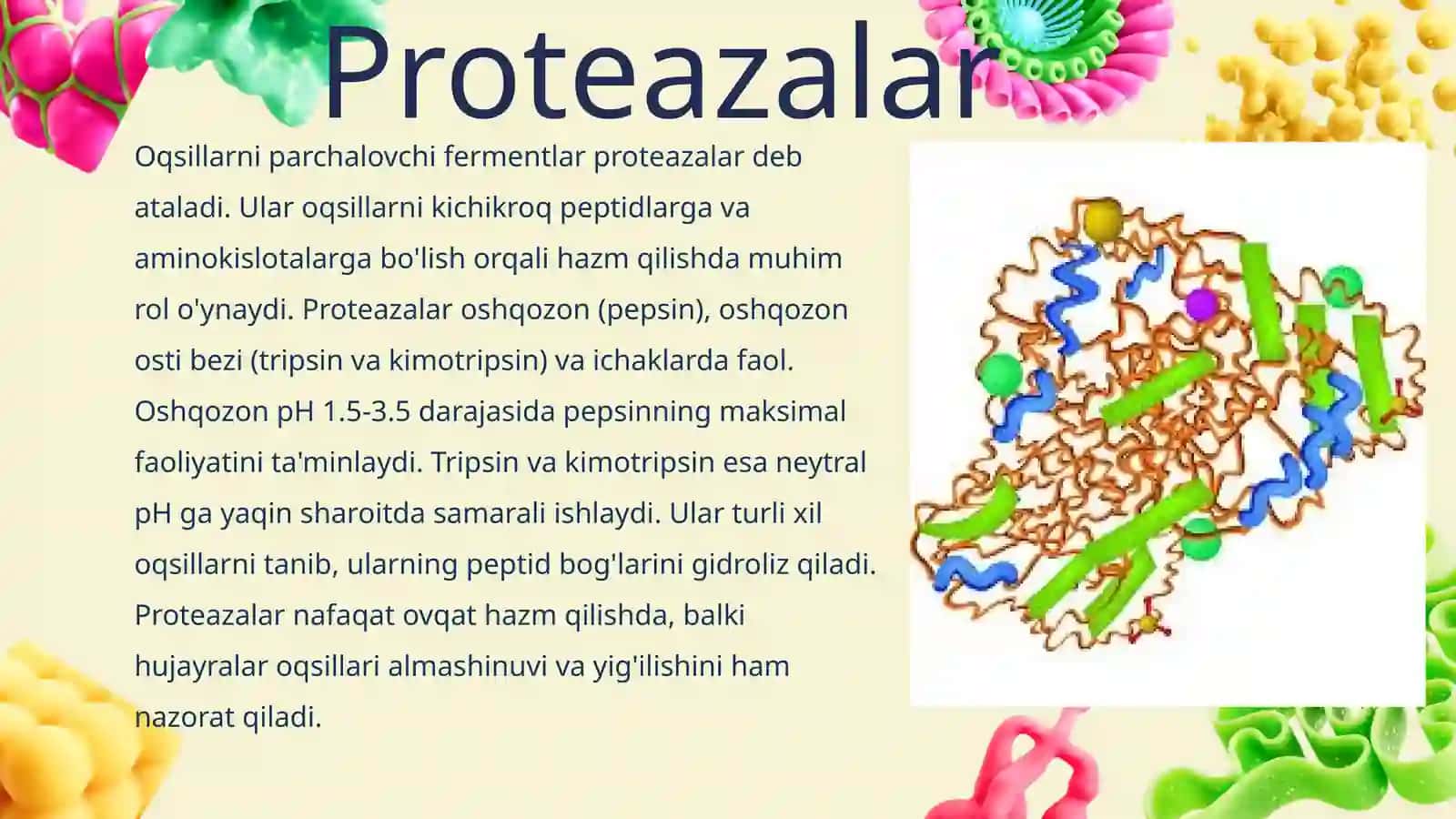 Oqsillarning tòqimalarda katepsinlar ishtirokida parchalanishi biogen aminlarning sintezi
<div><span 4