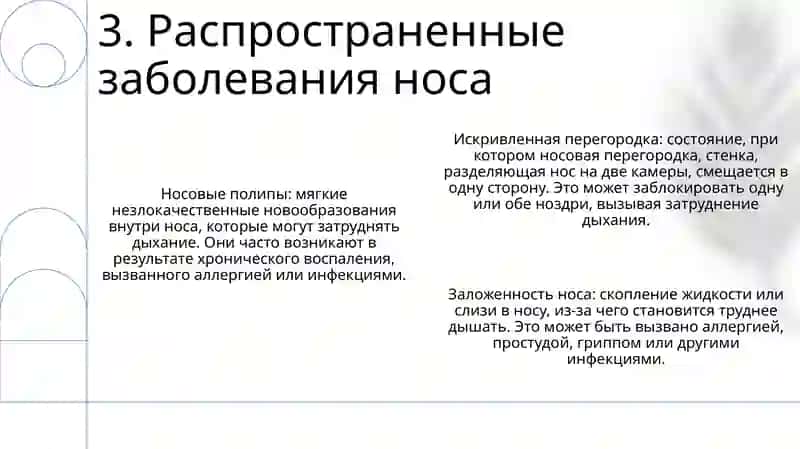 Нос 4