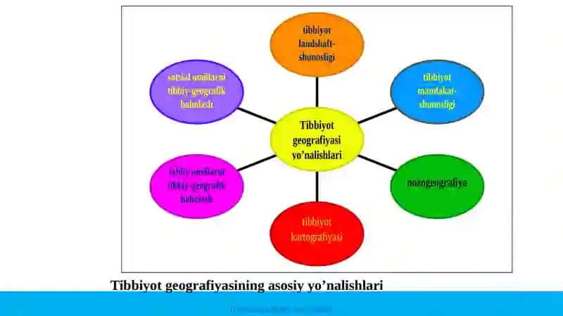 Tibbiyot geografiyasining asosiy yo’nalishlari 4