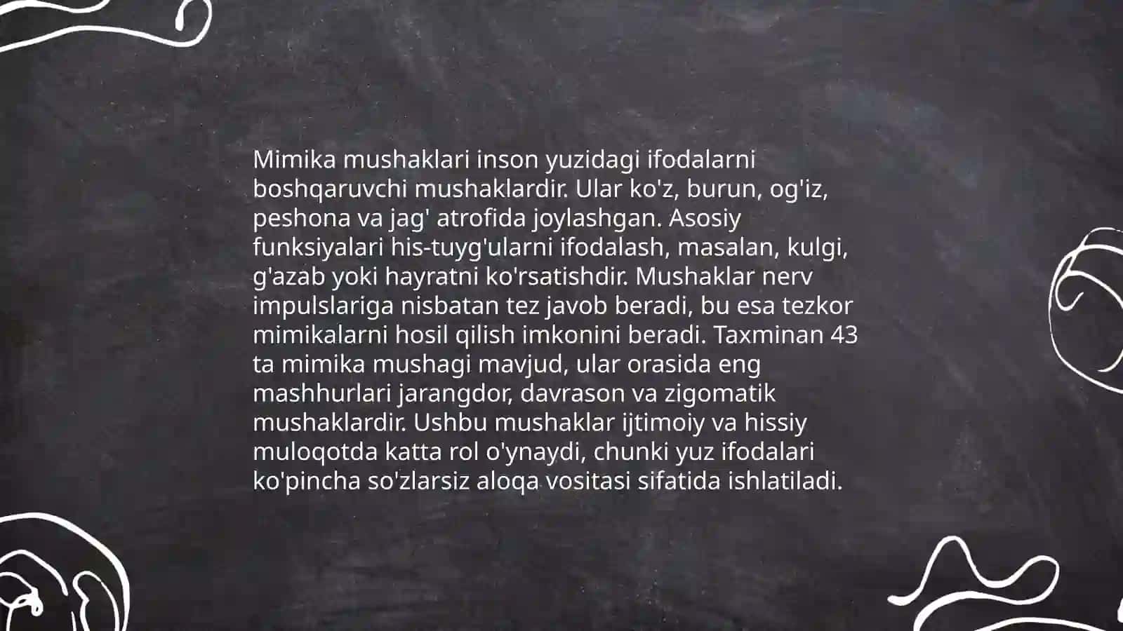 Mimika mushaklari, va ularning xususiyati 4