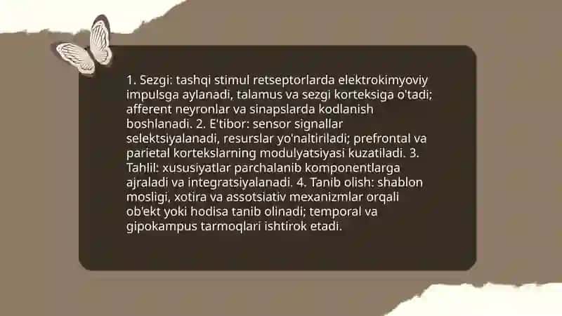 Idrok haqida tushuncha va uning xususiyatlari 4