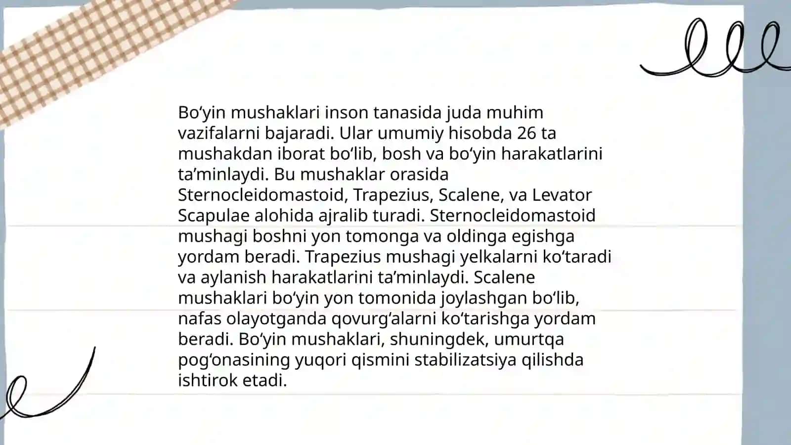 Boʻyin uchburchaklari anatomiyasi 4