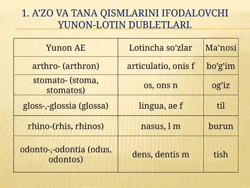 A’zo va tana qismlarini ifodalovchi yunon-lotin dubletlari 4