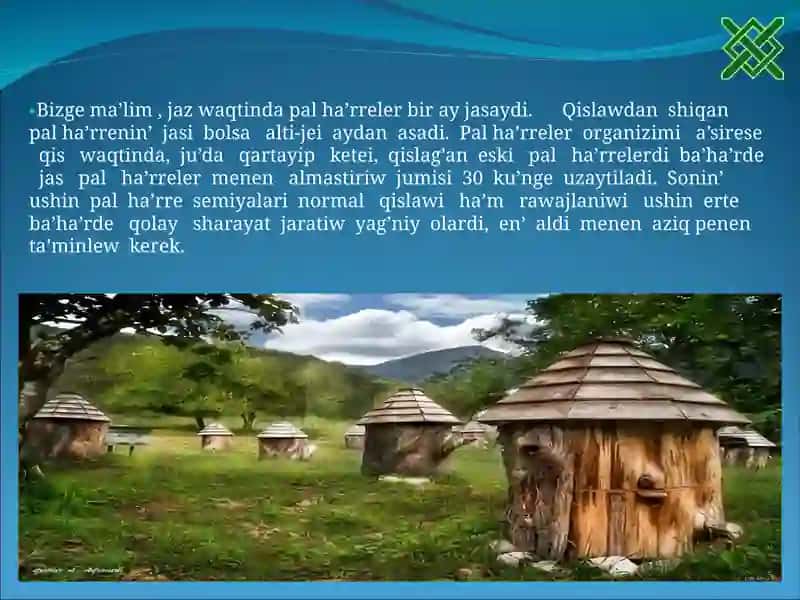 Pal ha’rreler va ularning ishlatilishi 4