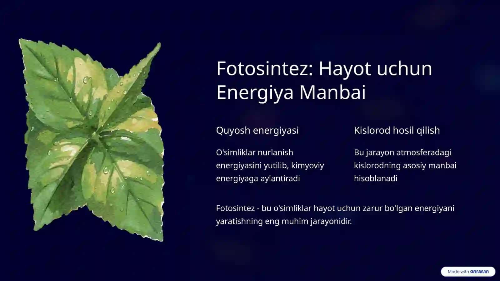 O'simliklar Dunyosi: Hayotning Rang-barang Sahifasi 4