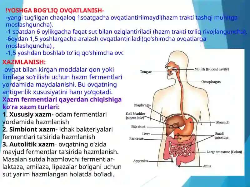 Moddalar almashinuviga kirish. Ovqatlanish Biokimyosi 4