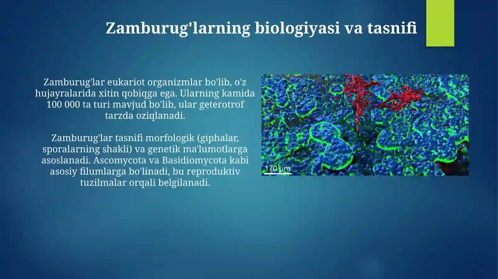 Zamburugʻlarkeltiribchiqaradigankasalliklar,qoʻzgʻatuvchilari,patogenezi,labaratoriyatashxisi 4