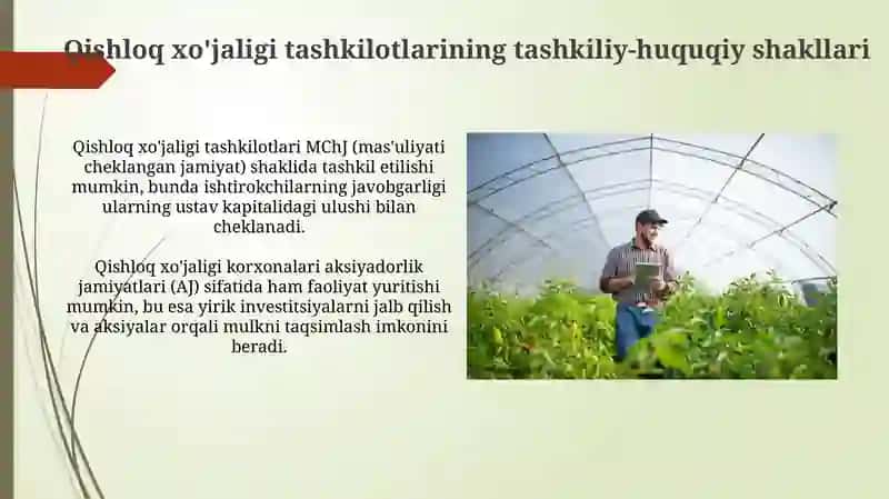 Qishloq xo'jaligi faoliyatida subyektlarining o'ziga xosligi va huquqiy holati 4