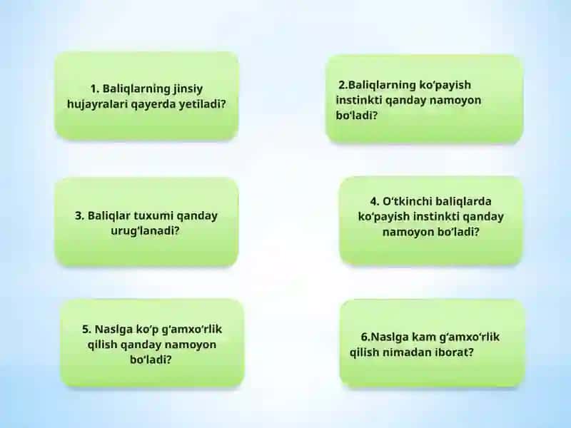 Baliqlarning xilma-xilligi: tog'aylibaliqlar sinfi 4