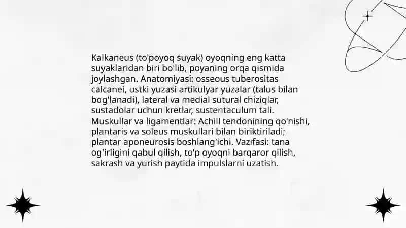 Oyoq suyaklari 4
