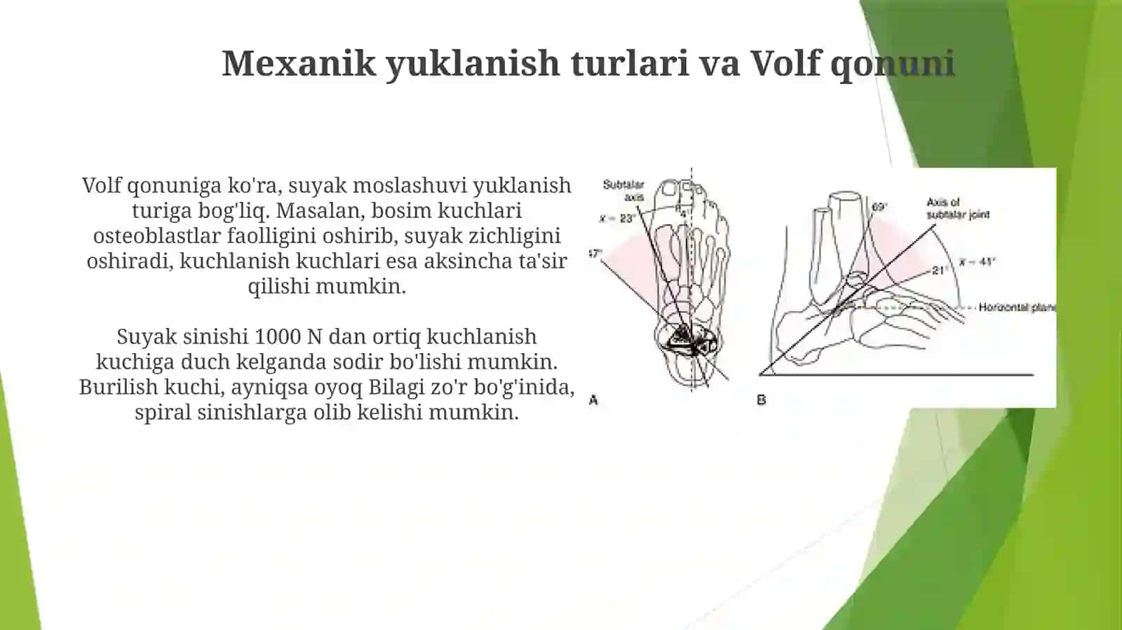 Mexanik harakatlarning suyaklarga ta'siri 4
