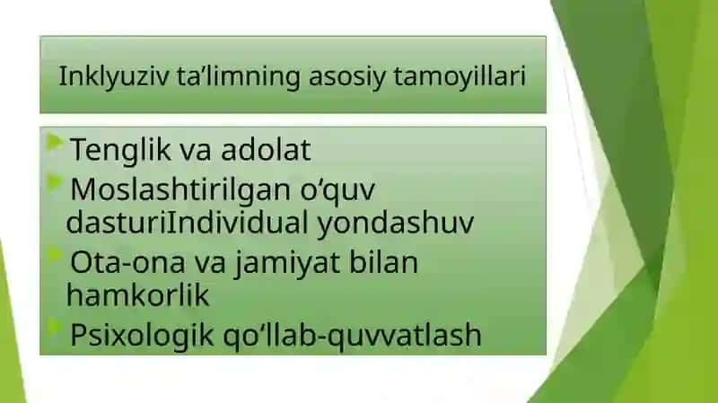 Inklyuziv ta’lim tushunchasi 4