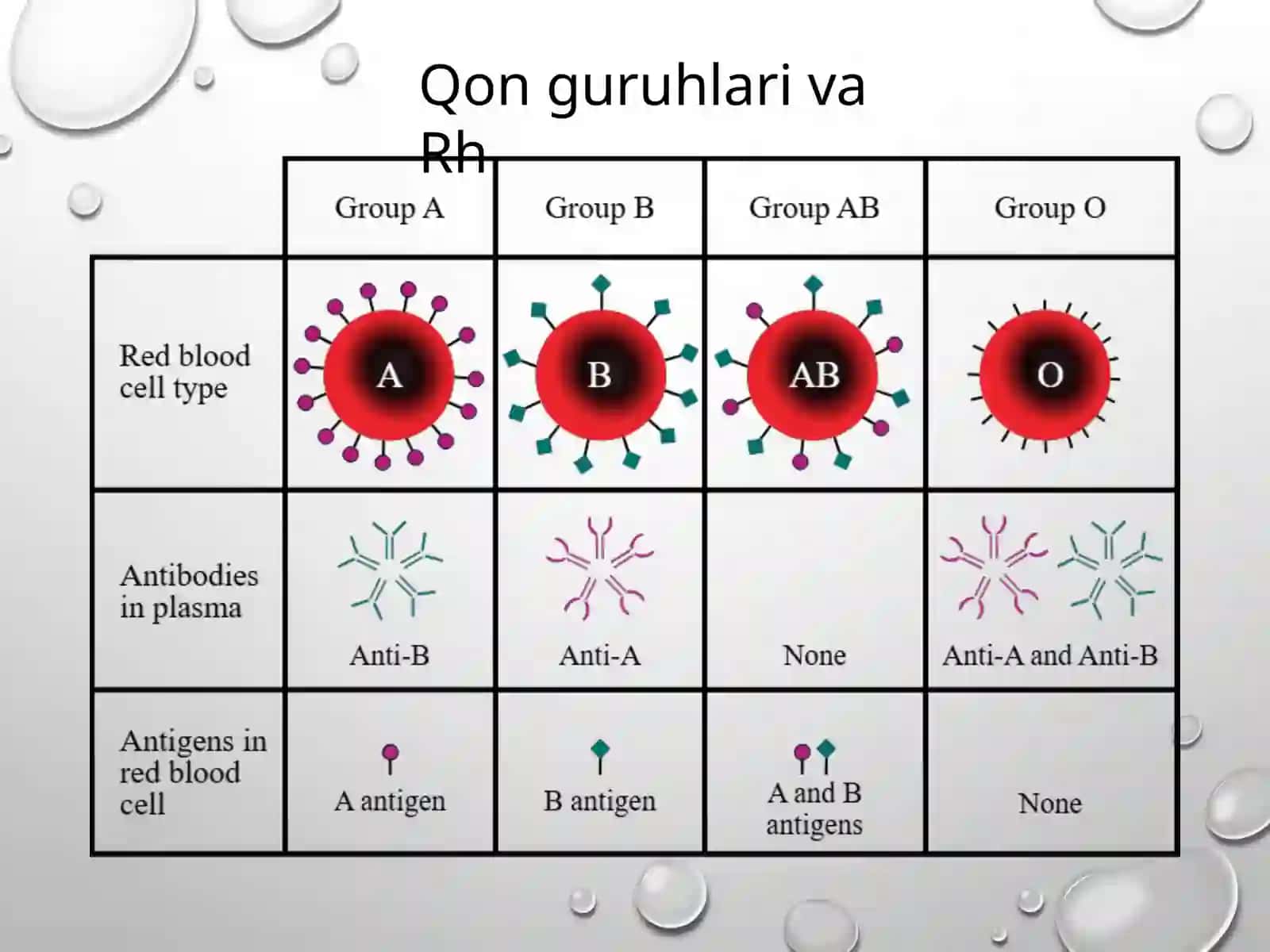 Akusherlikda Rezus-omil vauning Patogenezi 4