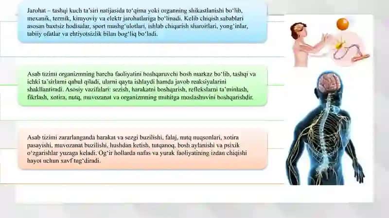 Jarohatlar va asab tizimi kasalligi, tayanch-harakat apparati kasalliklari 4